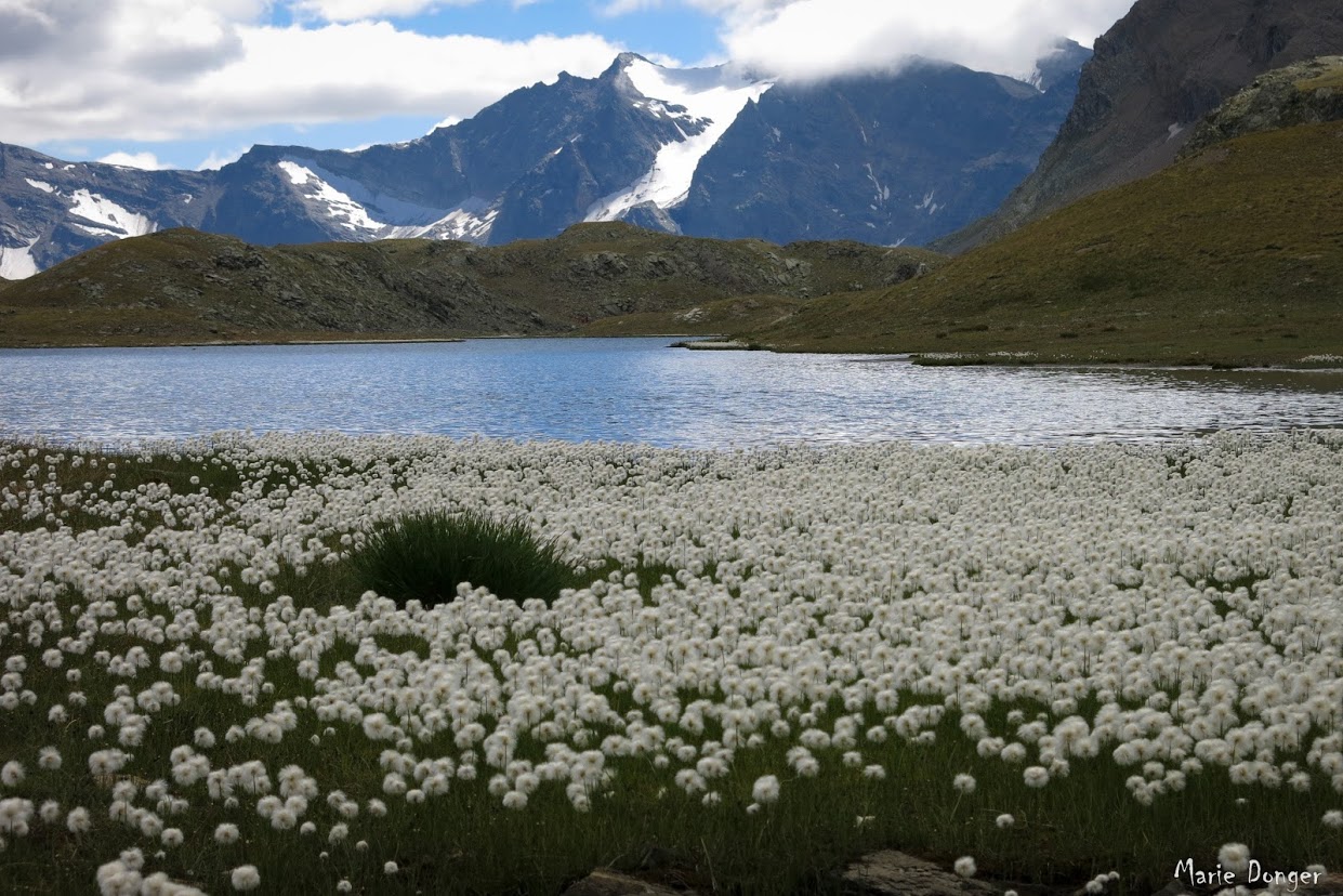 Trek pour le Grand Paradis en Italie